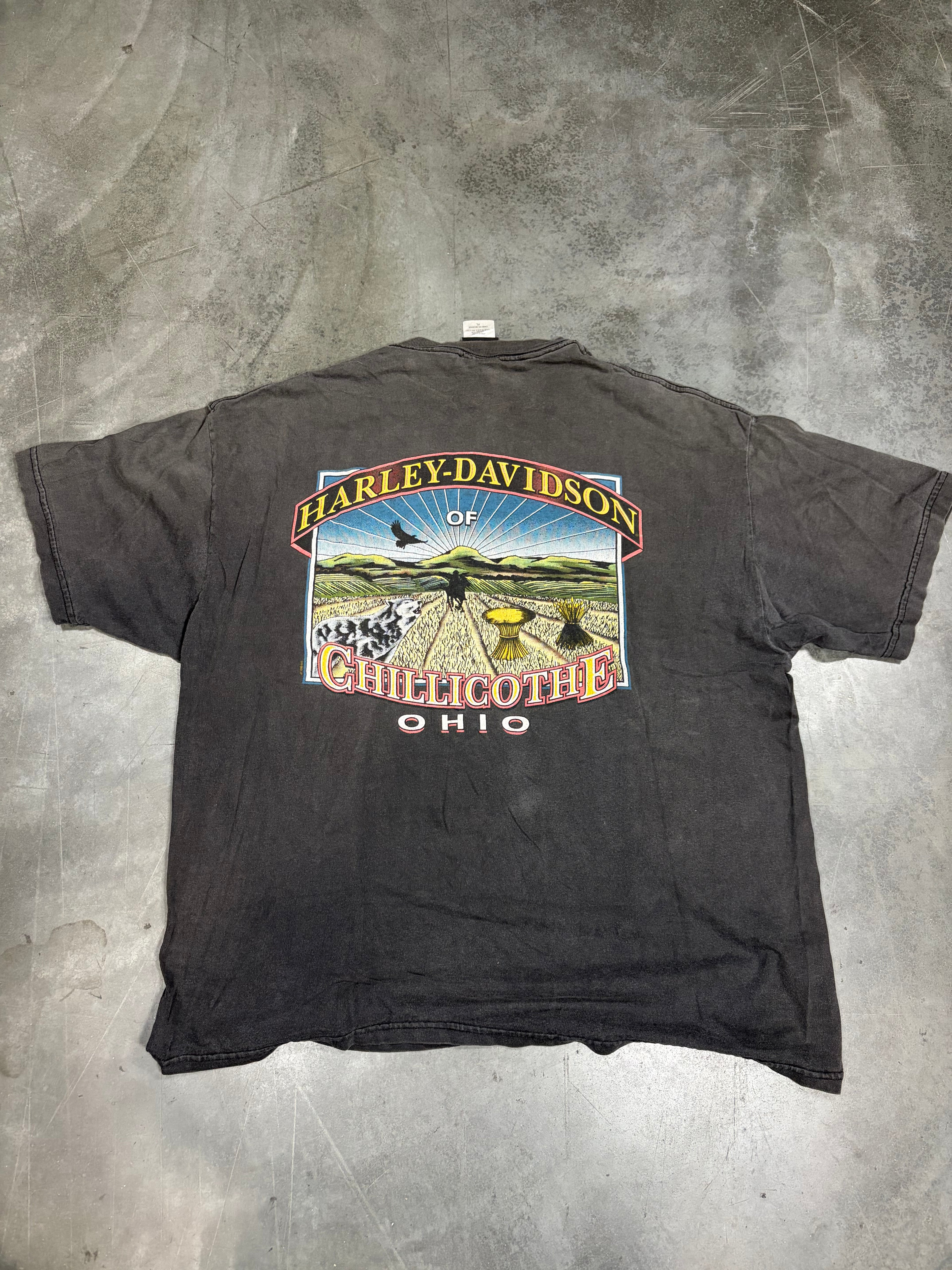 Faded Flaming Eagle Harley Davidson Vintage Shirt