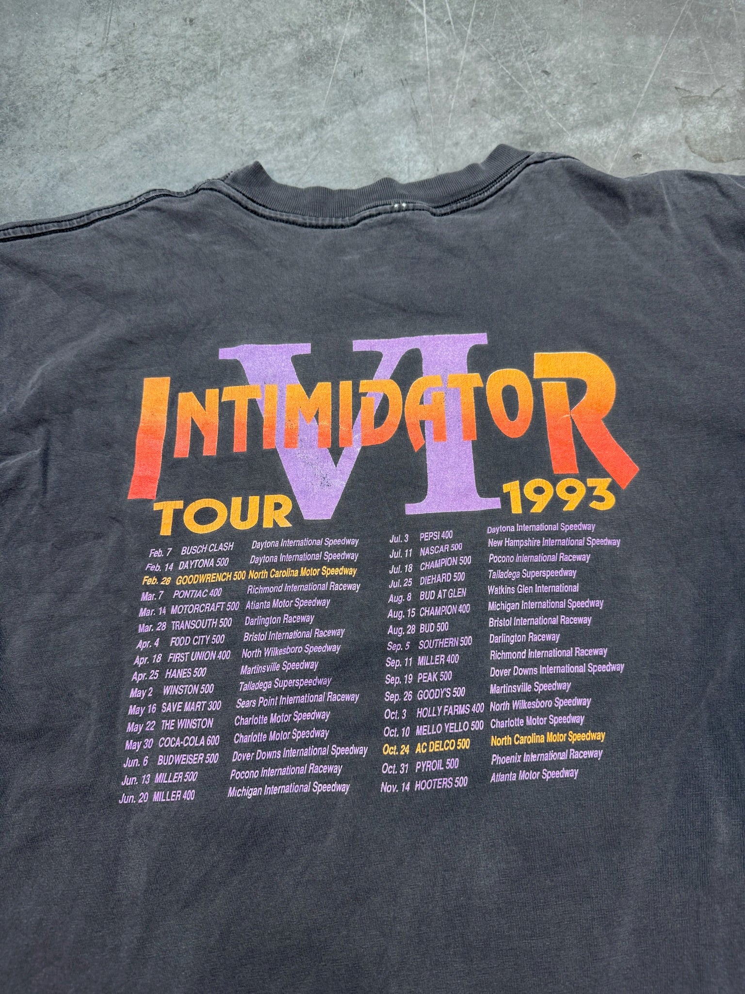 1993 Tour Dale Earnhardt Intimidator VI Racing NASCAR Vintage Shirt