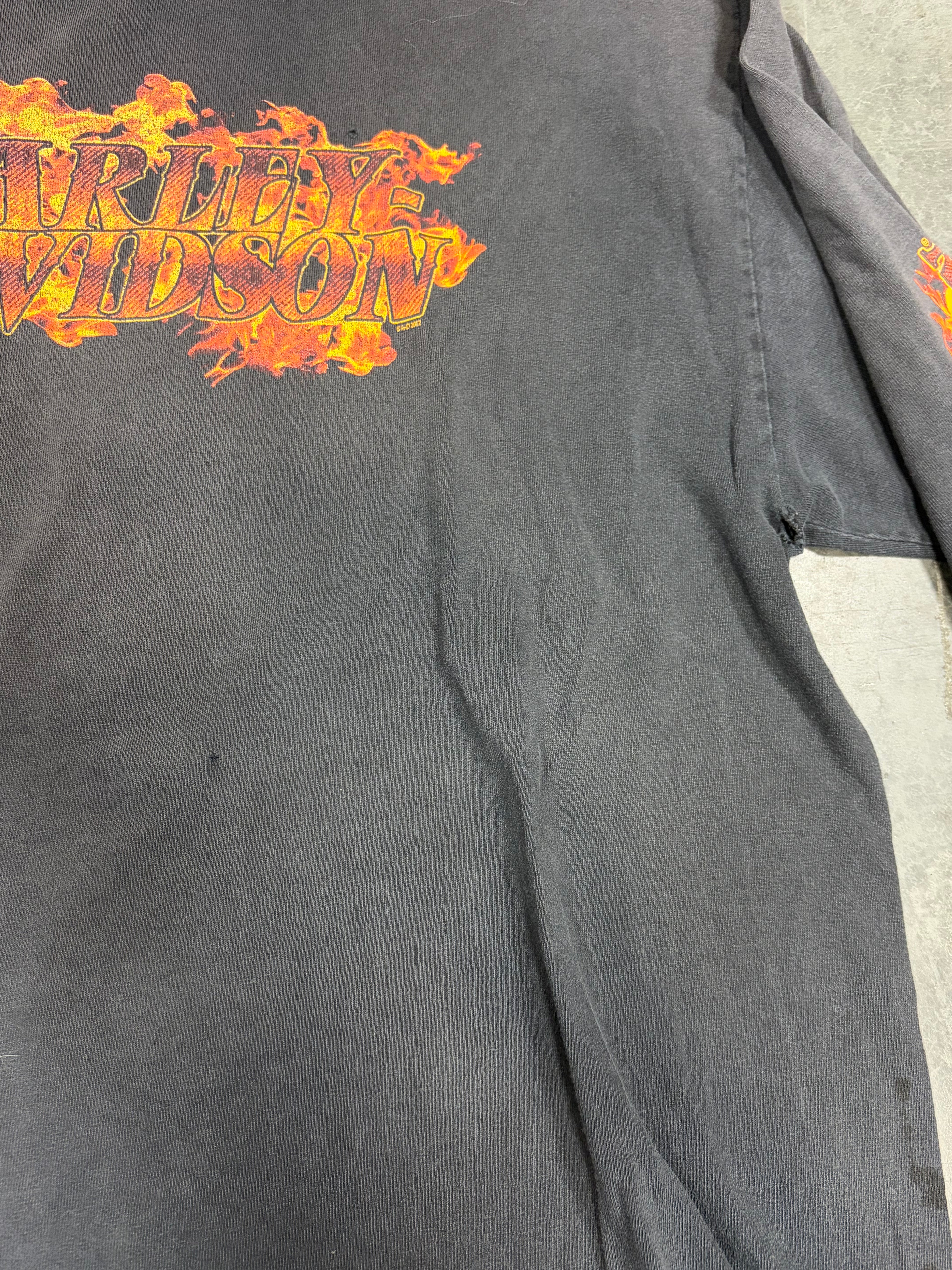 Flame Sleeve Hits Harley Davidson Vintage Long Sleeve Shirt