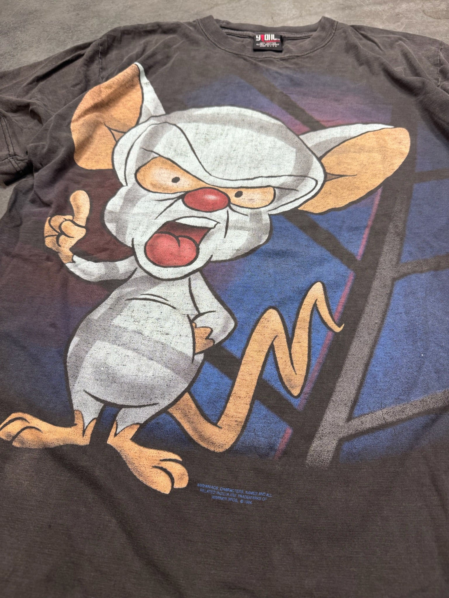 1990s Pinky & The Brain Animaniacs Vintage Shirt