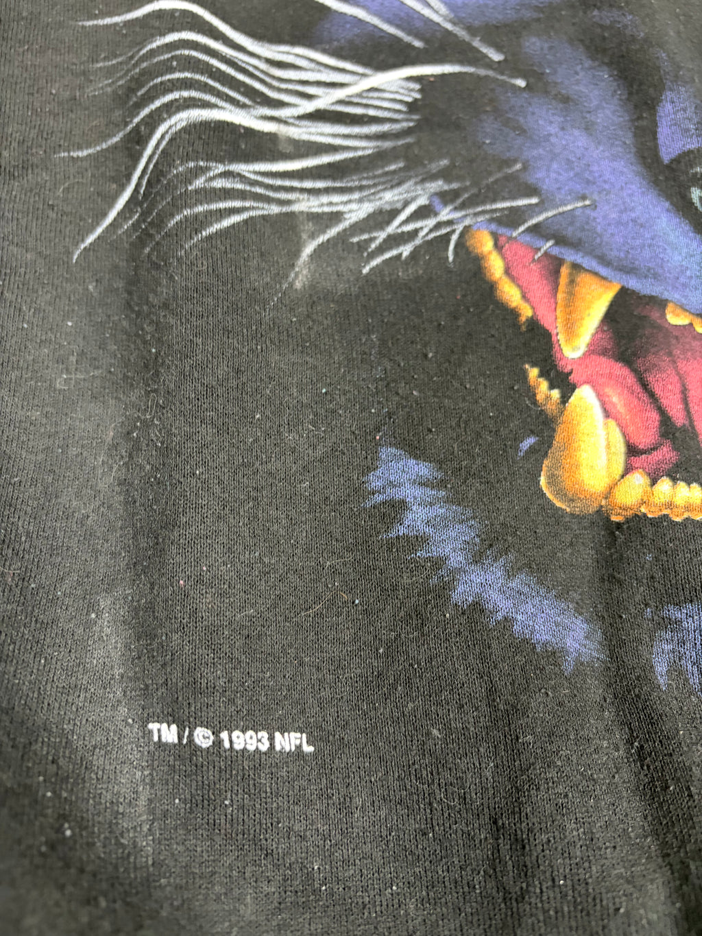 Carolina Panthers 1993 Vintage NFL Salem Crewneck