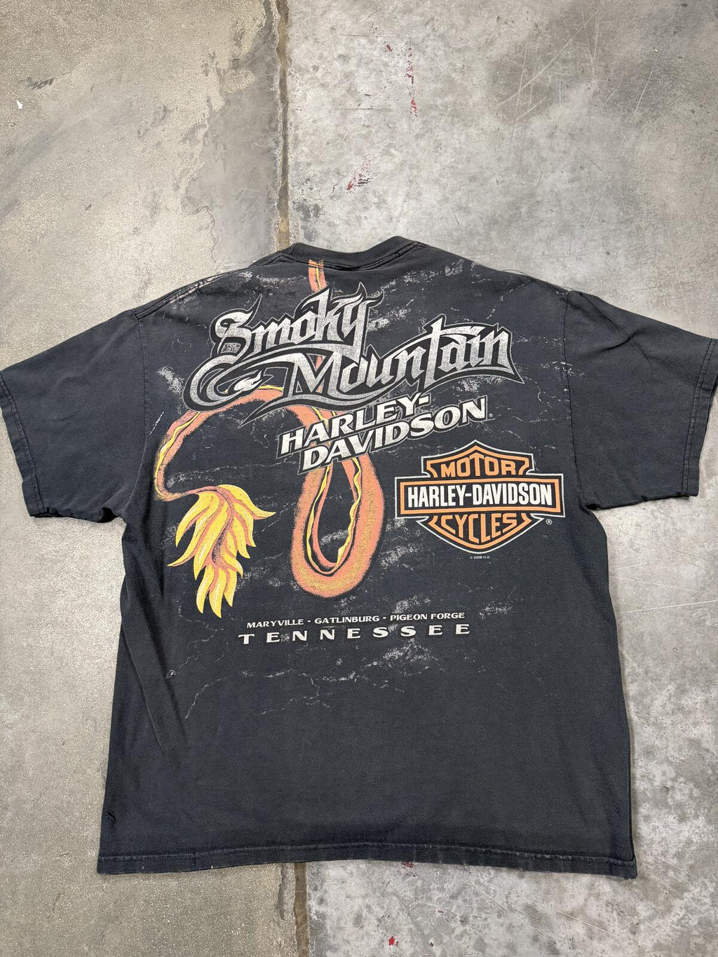 Harley Davidson Smoky Mountain Tennessee Dragon Long Sleeve Shirt 3D Large 2009