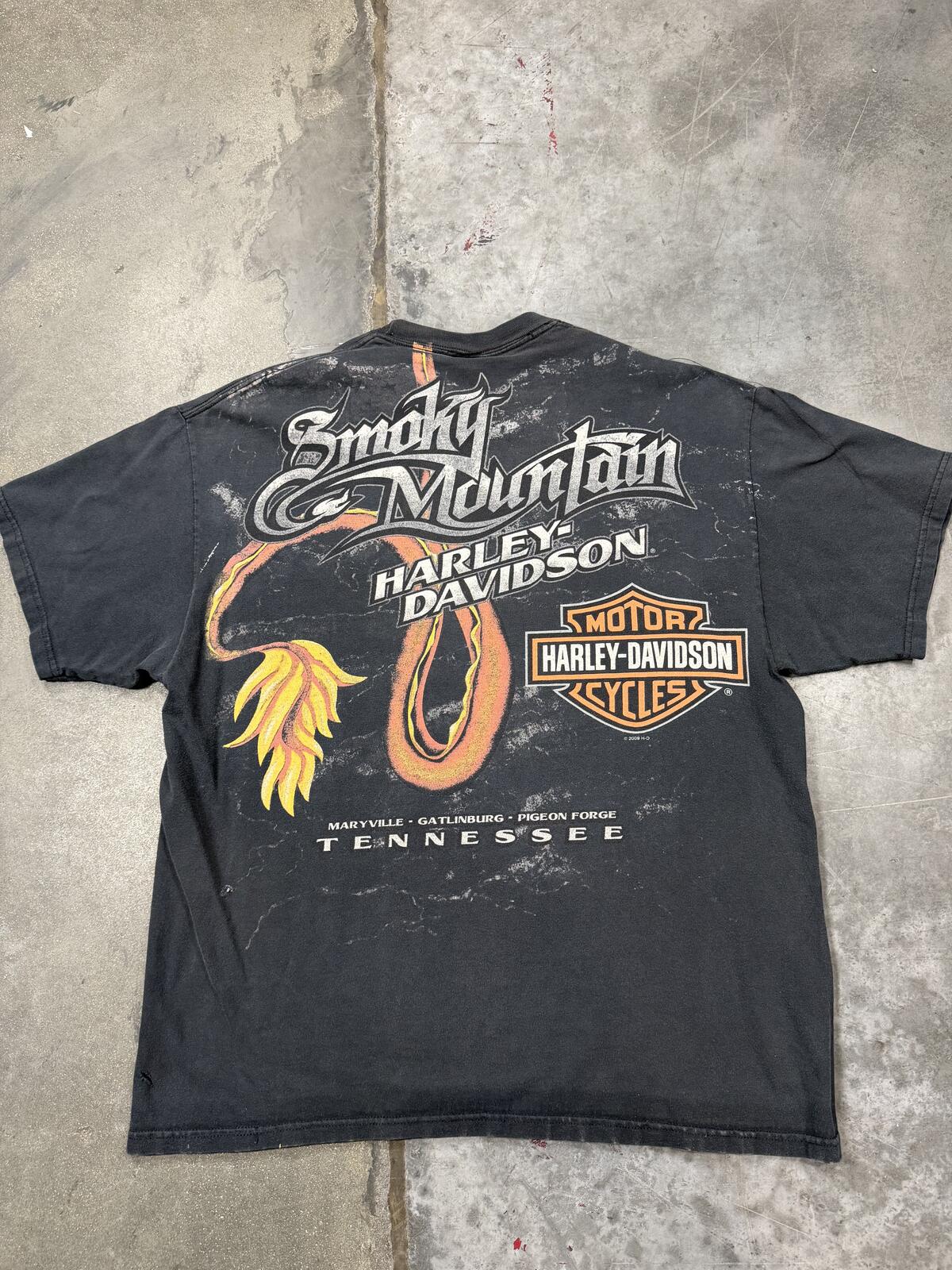 Harley Davidson Smoky Mountain Tennessee Dragon Long Sleeve Shirt 3D Large 2009